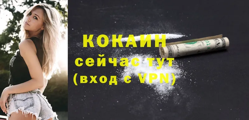 Хочу наркоту Нелидово Гашиш  блэк спрут онион  МЕФ  Cocaine  Псилоцибиновые грибы 